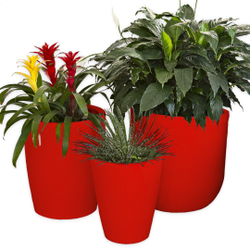 Menor preço em Kit 3 Vasos Planta Variados Polietileno Varanda Jardim CD14