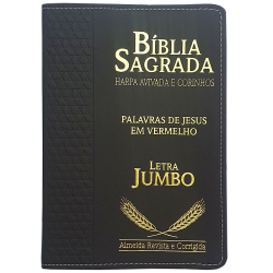 Bíblia Sagrada Harpa Avivada e Corinhos arc Letra Jumbo é boa?