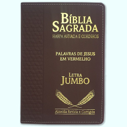 Bíblia Sagrada Harpa Avivada e Corinhos arc Letra Jumbo é boa?