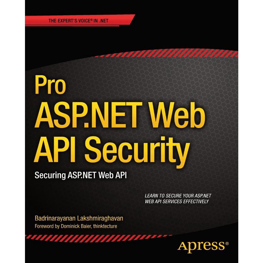 Asp Net Web Api Security