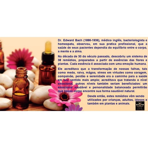 Floral De Bach Original Honeysuckle 30ml Pronto Para Tomar em Promoção |  Ofertas na Americanas