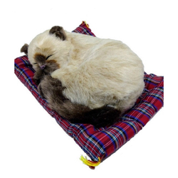 [object Object] é boa?