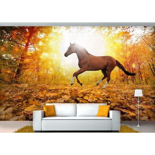 Papel De Parede Paisagem Animais Cavalo Pulando Céu M² Anm84