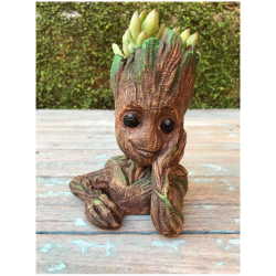 Vaso Groot Para Cactos E Suculentas Menor preço em Vaso Groot Para Cactos E Suculentas