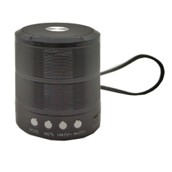 Menor preço em Mini Caixa Som Portátil Bluetooth Usb Mp3 P2 Sd Fm WS-887