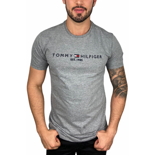 Camiseta Tommy Hilfiger Ab Two Tone Hilfiger Masculina Tommy