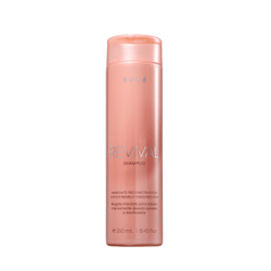 Shampoo braé Revival Reconstrutor - 250ml Menor preço em Shampoo braé Revival Reconstrutor - 250ml