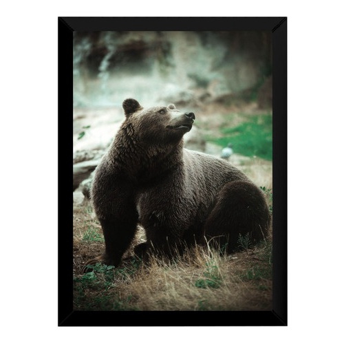 Quadro decorativo Macaco Filhote Fofo Animais Fofos para sala quarto no  Shoptime