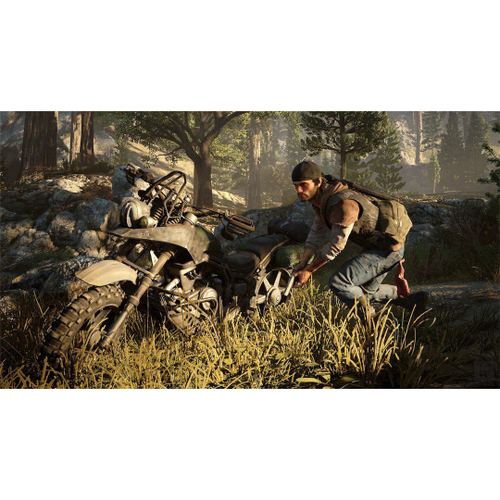 Days Gone Mídia Física PS4