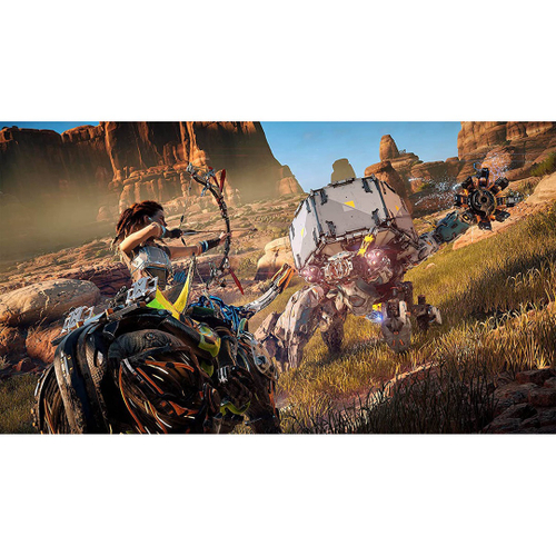 Horizon Zero Dawn - PS4 na Americanas Empresas