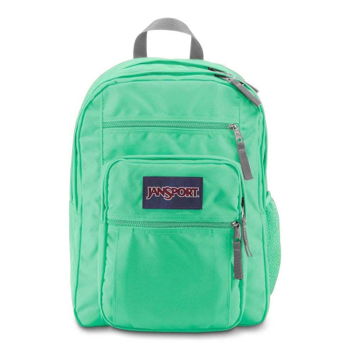 Jansport big cheap student brook green