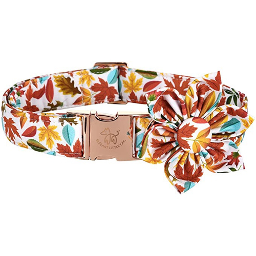Elegant little tail Flower Dog Collar for Female or Male Dogs