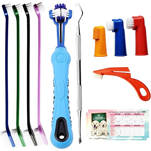 Dog toothbrush clearance kit