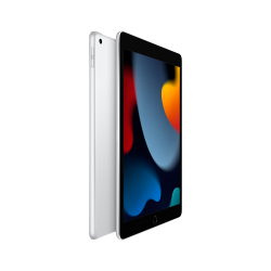 Apple iPad (9ª geração) A13 Bionic (10,2, Wi-Fi, 256GB) - Prateado é boa?