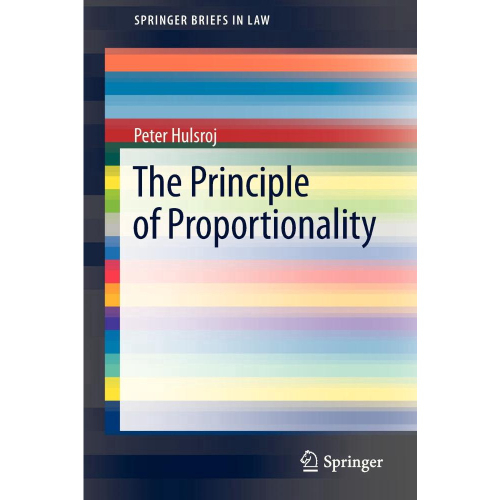 The principle of proportionality em promo o na americanas