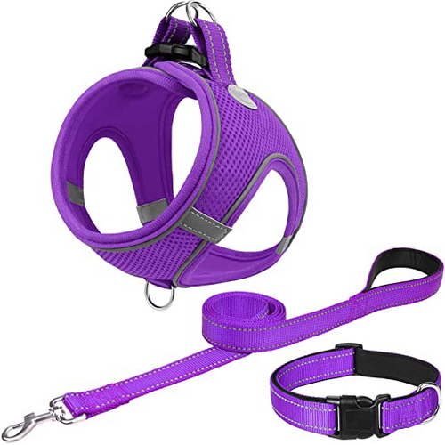 Joytale Dog Harness Chest 20.5 23 Dog Collar and 5 ft x 1