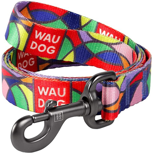 Dog collars and leashes for big dogs online