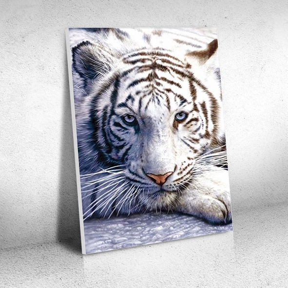 Quadros Decorativos Tigre e Palavras Significados Kit 2 peças 30x40cmFrases  e significado