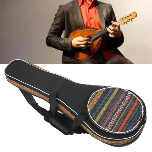 mandolin gig bolsa