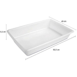 Bandeja Plastica Açougue Congelamento 40 X 60 Cm Menor preço em Bandeja Plastica Açougue Congelamento 40 X 60 Cm