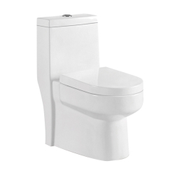 Vaso Sanitário Monobloco Prizi Snow Cerâmica com Kit Completo e Caixa Acoplada é boa?