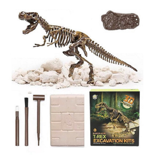 Kits De Escavação De Fósseis De Dinossauros Para Educação Arqueologia Conjunto De Brinquedos