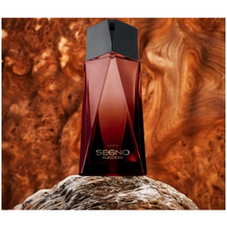 Perfume Segno Success Eau De Parfum Masculino Avon - 25 ml Menor preço em Perfume Segno Success Eau De Parfum Masculino Avon - 25 ml