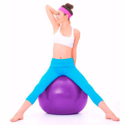 Bola Suiça Pilates Yoga Abdominal Fitness 55cm + Bomba Exercícios Força 815 Menor preço em Bola Suiça Pilates Yoga Abdominal Fitness 55cm + Bomba Exercícios Força 815