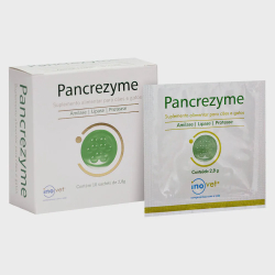 Menor preço em Pancrezyme Suplemento Alimentar 10 Sachês 2,8g