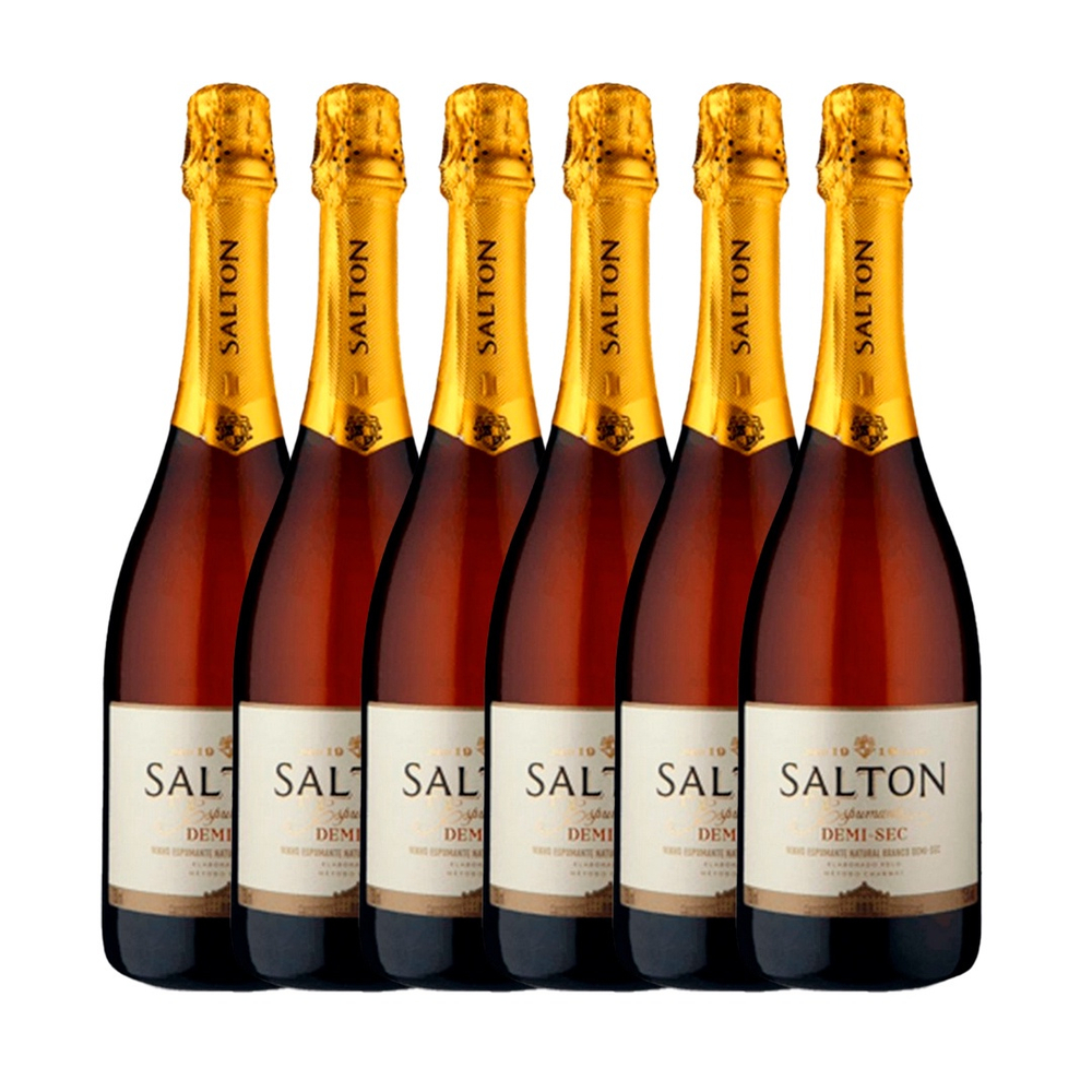 Kit 6 Garrafas Espumante Brasileira Salton Prosecco 750ml | Submarino