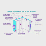 Usado: Administração Escolar - Introdução Crítica - Vitor Henrique Paro 2ª Ed