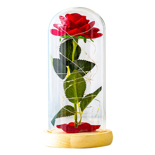 Rosa Eterna LED Dia Das Mães Rosas Frescas Luzes LED Presente De  Aniversário Para Ela em Promoção na Americanas