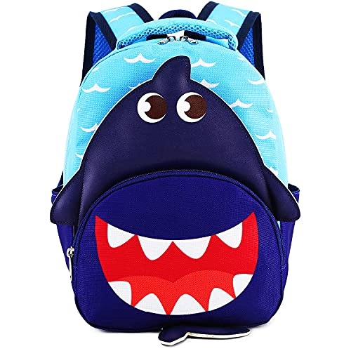 shark school bolsa