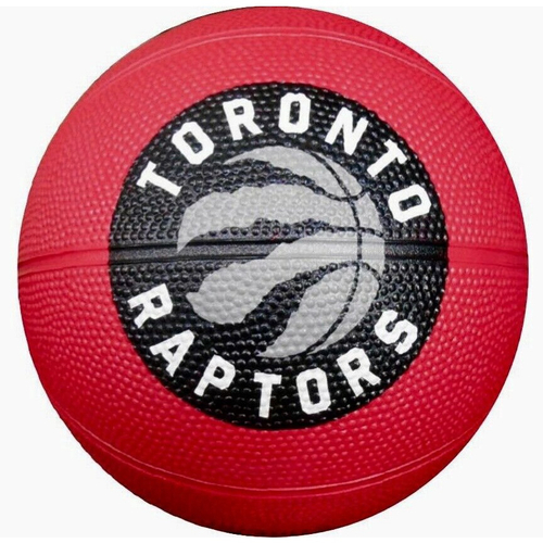 Bola basquete wilson raptors