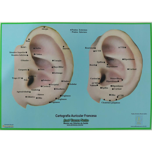 Mapa Cartografia Auricular Francesa - José Trezza Netto em Promoção na  Americanas