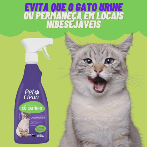 Jogo Americano Gatinho Para Gatos - DM Pets Importadora