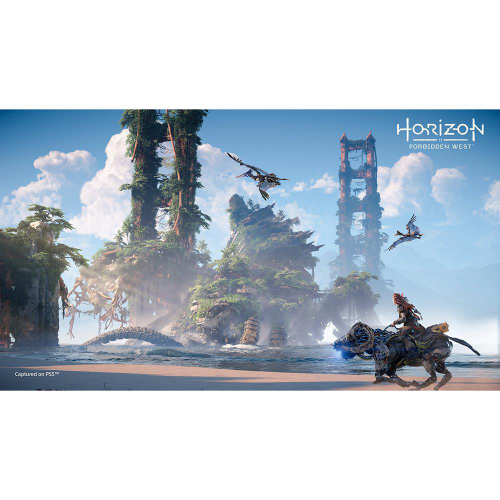 Console Playstation 5 + Game Horizon Forbidden West - PS5 em Promoção na  Americanas