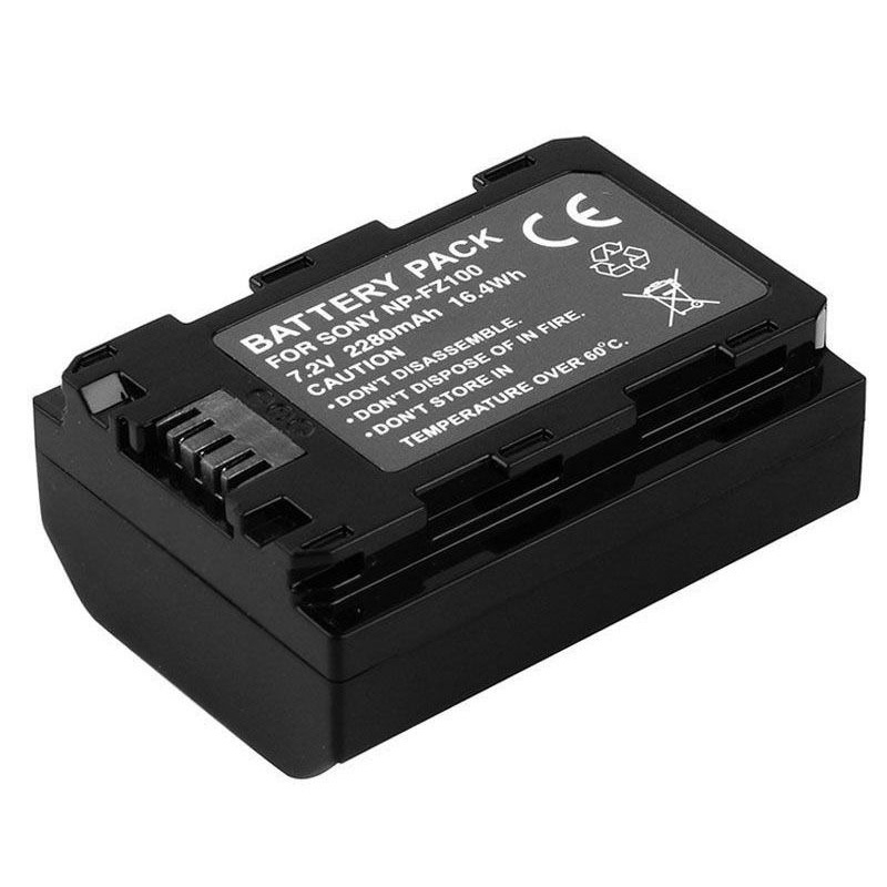 fz100 battery