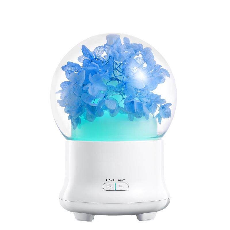 Eternal Flower Fragrance Machine Hydrangea Cherry Blossom Rosa Hydrangea  Azul claro #EU Plug - Hydrangea azul (padro europeu) em Promoção | Ofertas  na Americanas