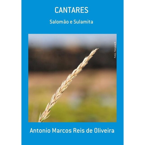 A Analise de cantares