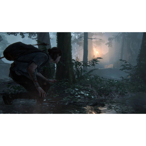 Jogo The Last Of Us Part 2 em Português - PS4 Mídia Física em Promoção na  Americanas