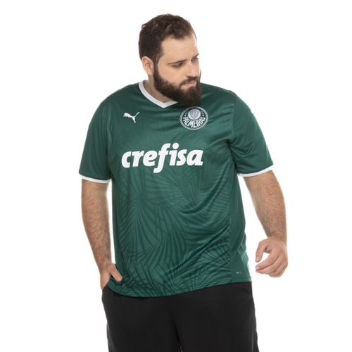 Camiseta Palmeiras Campeão Mundial Estilo Quebrada Premium em Promoção na  Americanas