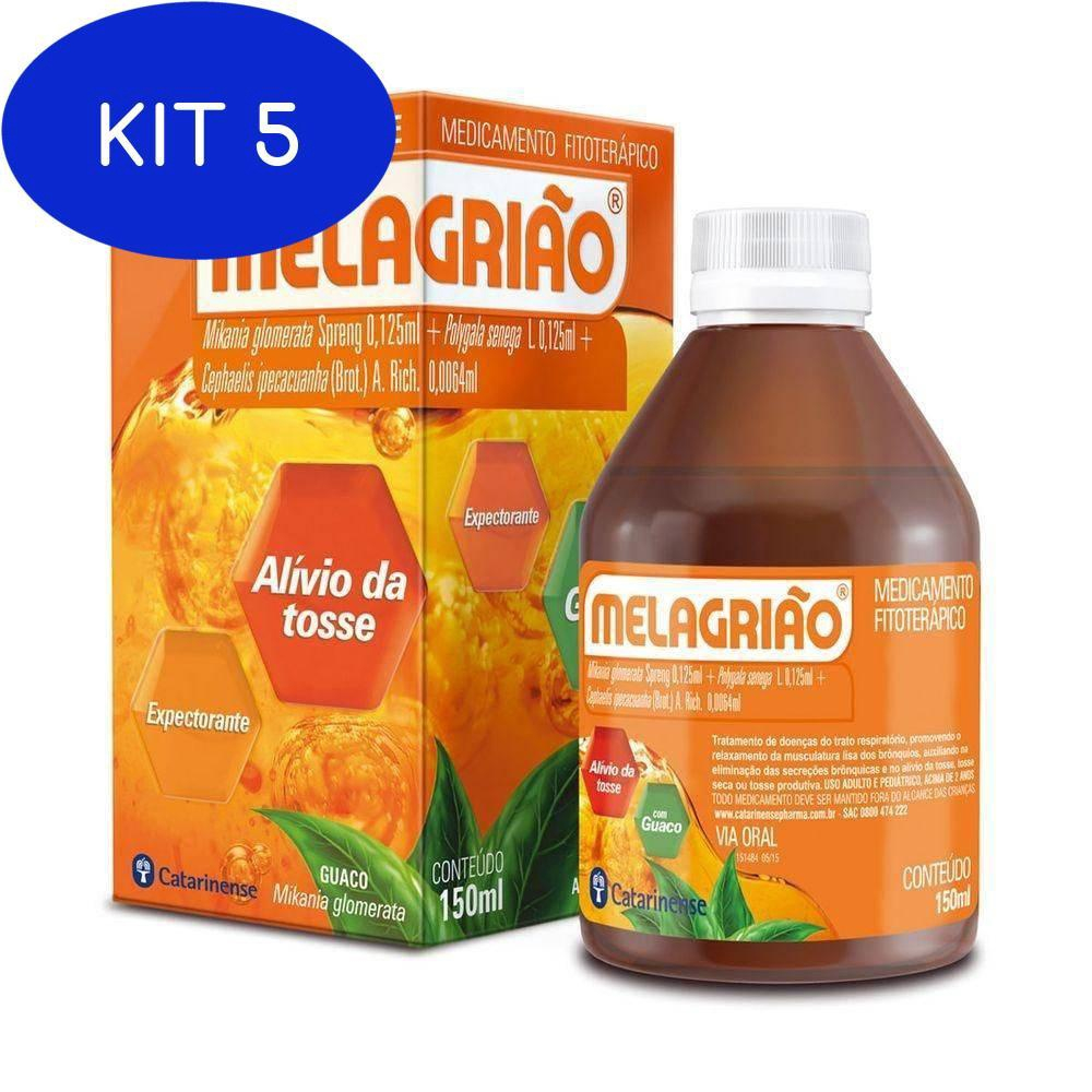 Kit 2 Melagriao Xarope Expectorante 150ml - Catarinense em Promoção na  Americanas