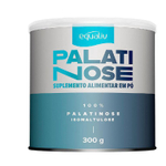 Palatinose Suplemento Alimentar Em Pó 300G