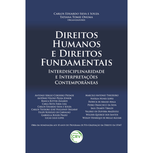 Livro - Direitos Humanos E Direitos Fundamentais: Interdisciplinaridade ...