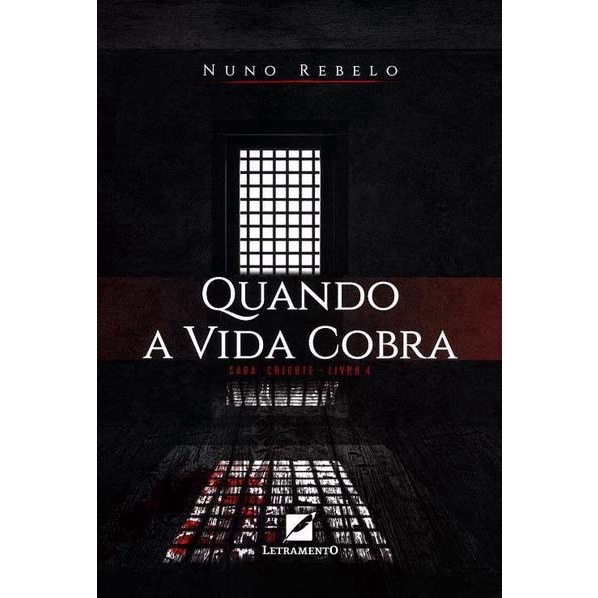 Resenha do livro: Minha vez de brilhar