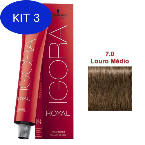 Loreal Kit c/3 Dia Richesse Tonalizante 6.0 Louro Escuro Profundo 50g em  Promoção na Americanas