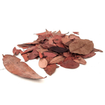 Chá De Pedra Ume Caa 1Kg Insulina Vegetal Safra Nova
