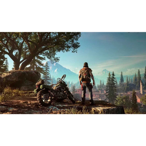 Days Gone PS4 (Midia Física)