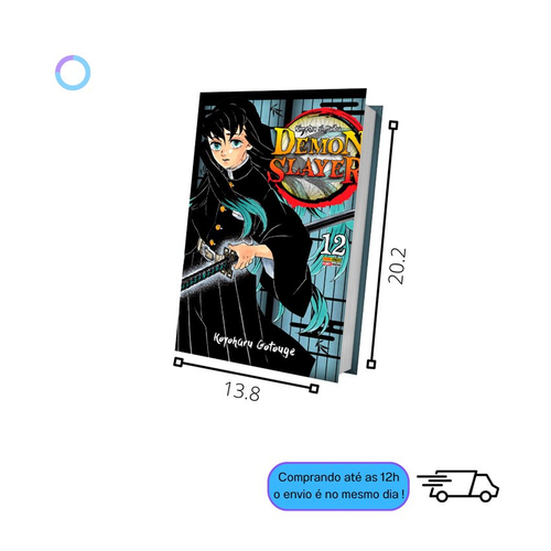 Demon Slayer, Kimetsu No Yaiba Mangá Volume 6, 7 e 8 - kit em Promoção na  Americanas